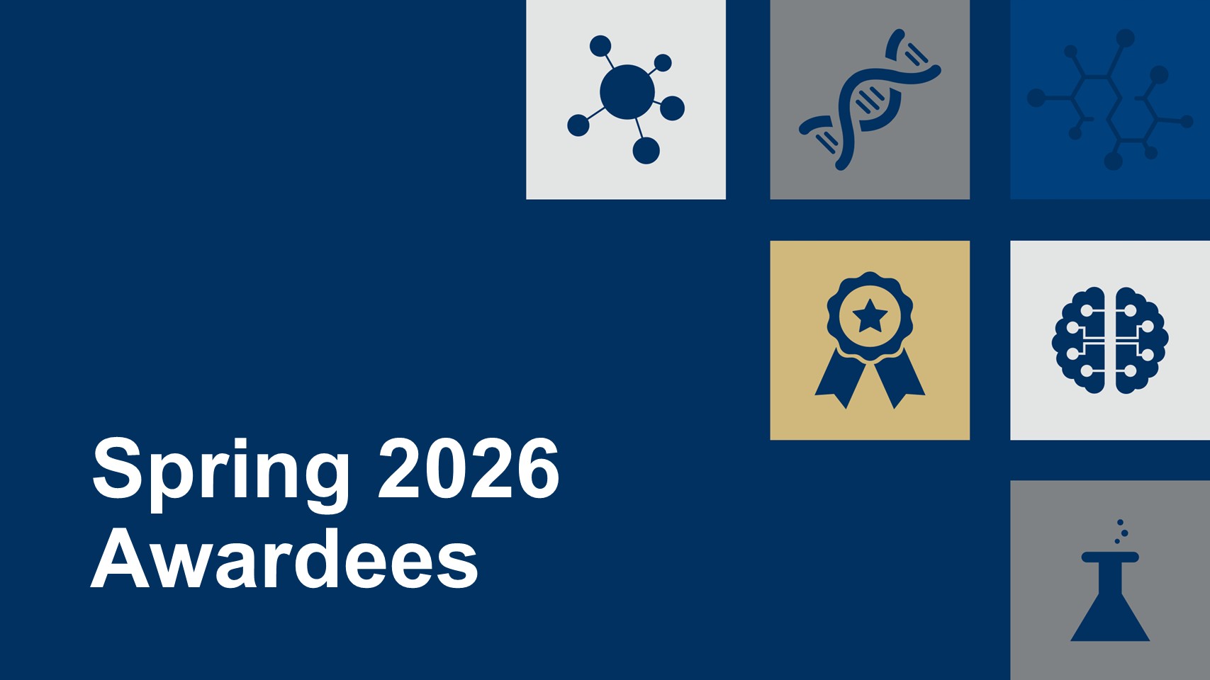 Spring 2026 Awardees with research icons