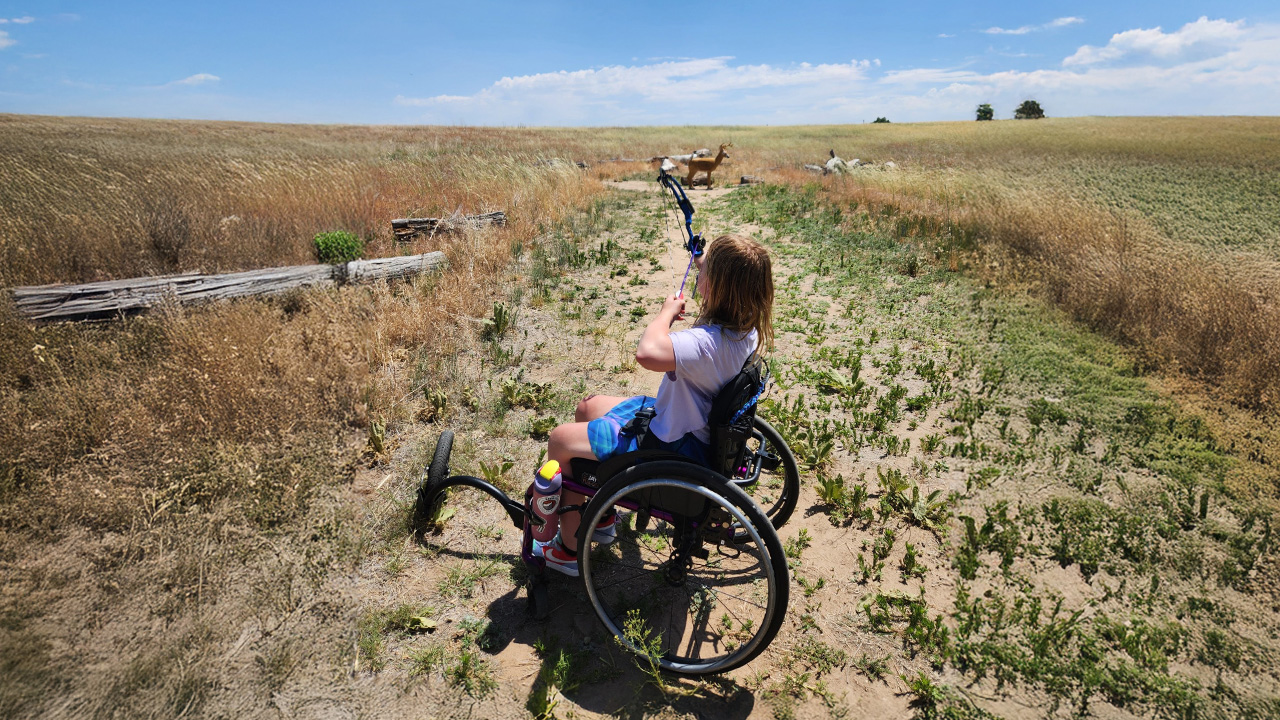 Person in a wheelchair using a bow to practice archery on a fake deer in a grassy field under a clear blue sky.