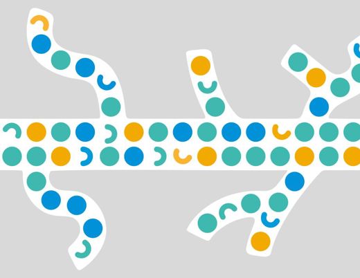 Abstract illustration of a branching pathway filled with teal, blue and gold circles on a light gray background.