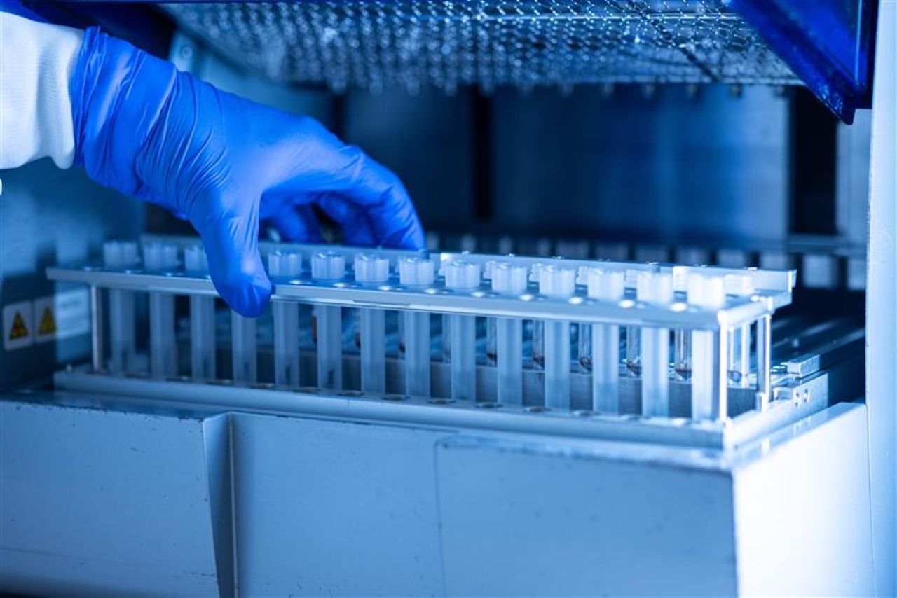 MMR, VZV Vaccines Before Liver Transplant