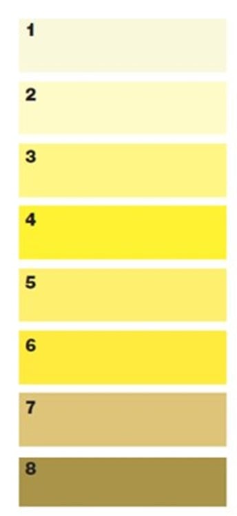 Urine Chart.jpg