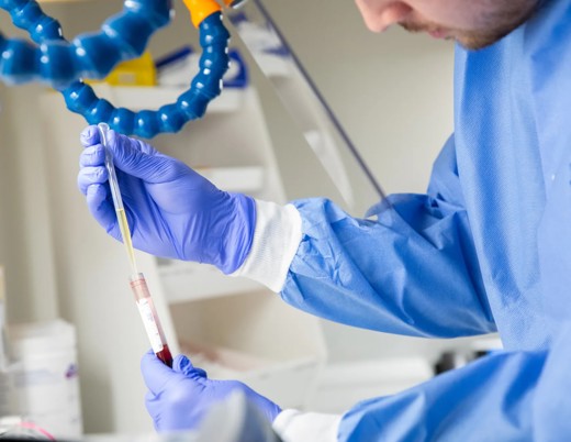 A person wearing protective gloves and a blue lab coat carefully handles a test tube containing a blood sample in a laboratory setting.