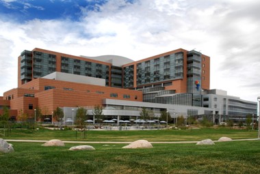 Outside view of the new Children's Hospital building, which has brown brick and blue-green windows and a gray brick entrance. The balloon boy is prominent on the front of the building and it's surrounded by green grass and trees.
