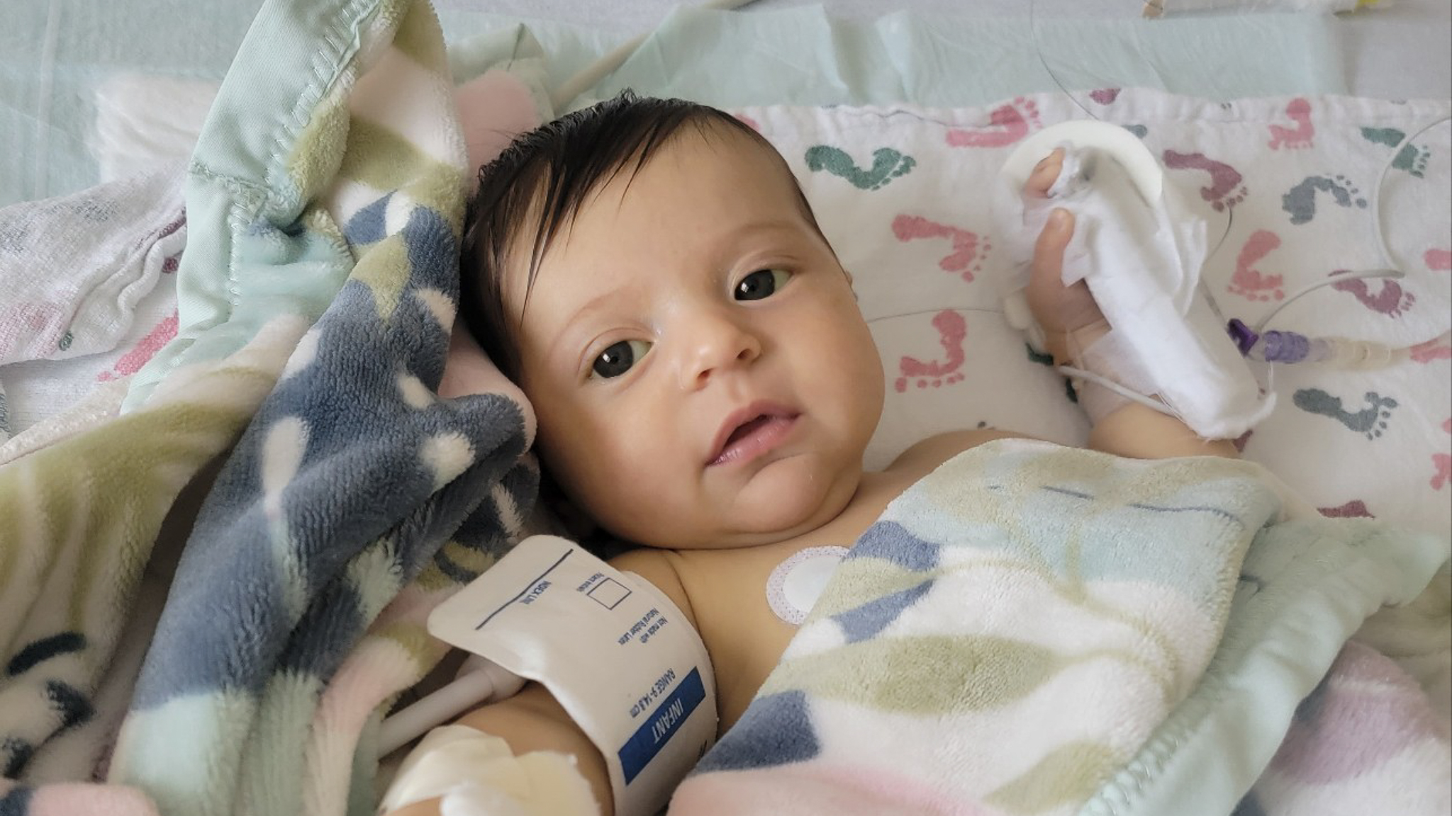A toddler lies in a hospital bed with a blanket. A blood pressure cuff rests on their arm. 
