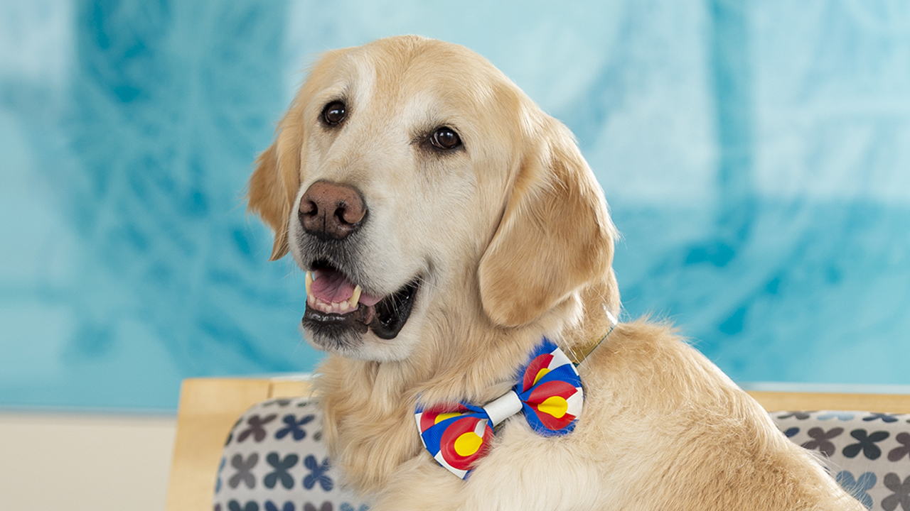 Ralph is happy to call Children's Colorado his home.