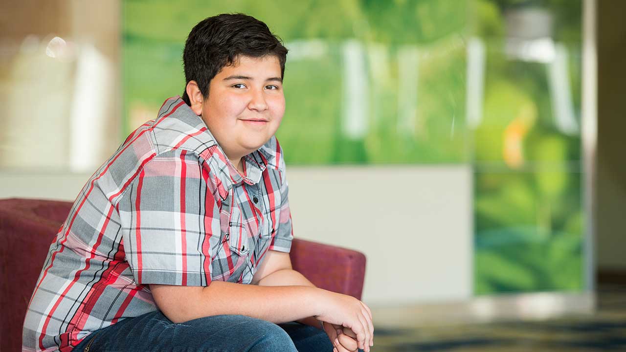 Whole Liver An illustration of a liver with veins shown running through it.