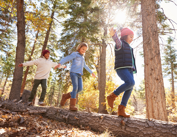 A group of children playing outdoors in the woods