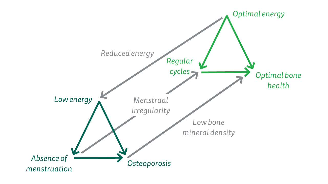 Female Athlete Triad Diagram The diagram explains the impact of the female athlete triad.
