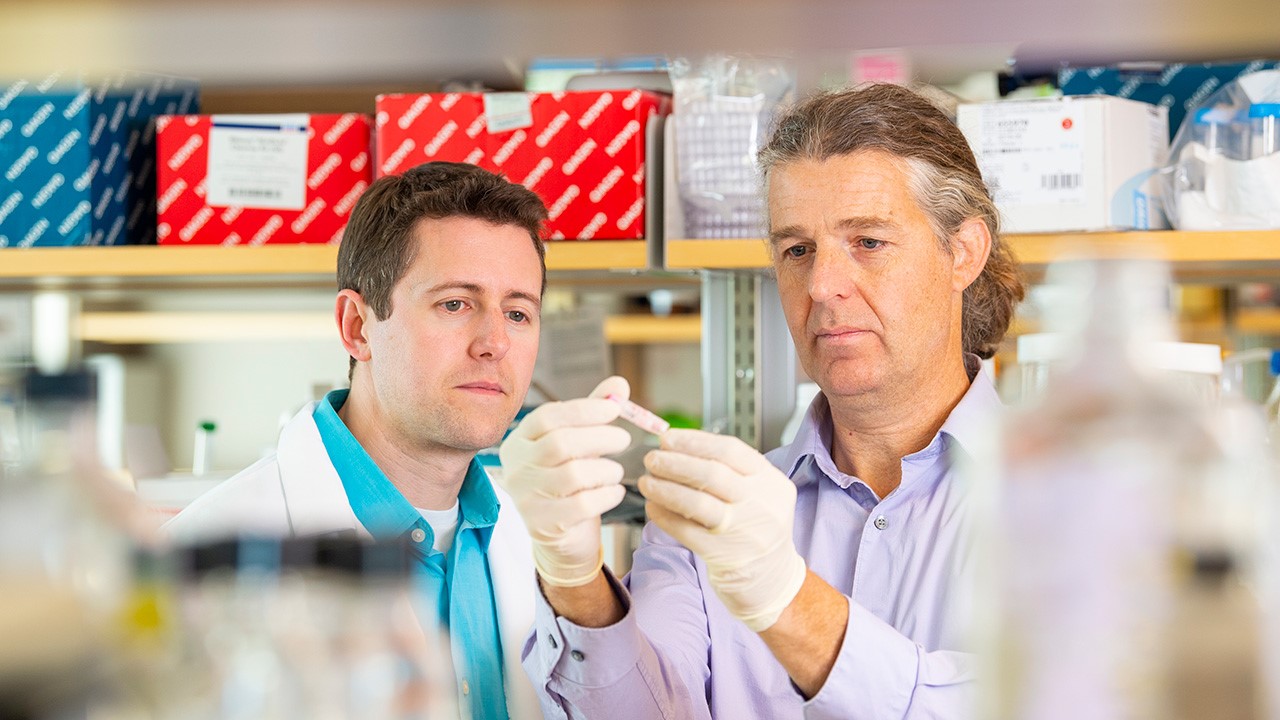 Neuro-oncology researcher Andrew Donson, PhD, holds a brain tumor sample and examines it with his colleague Adam Green, MD.