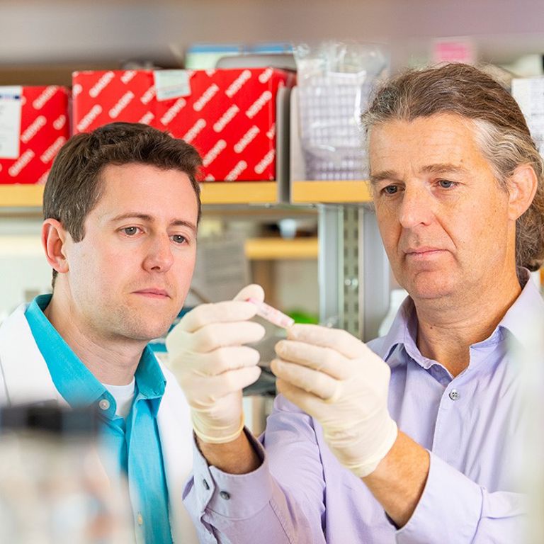 Neuro-oncology researcher Andrew Donson, PhD, holds a brain tumor sample and examines it with his colleague Adam Green, MD.