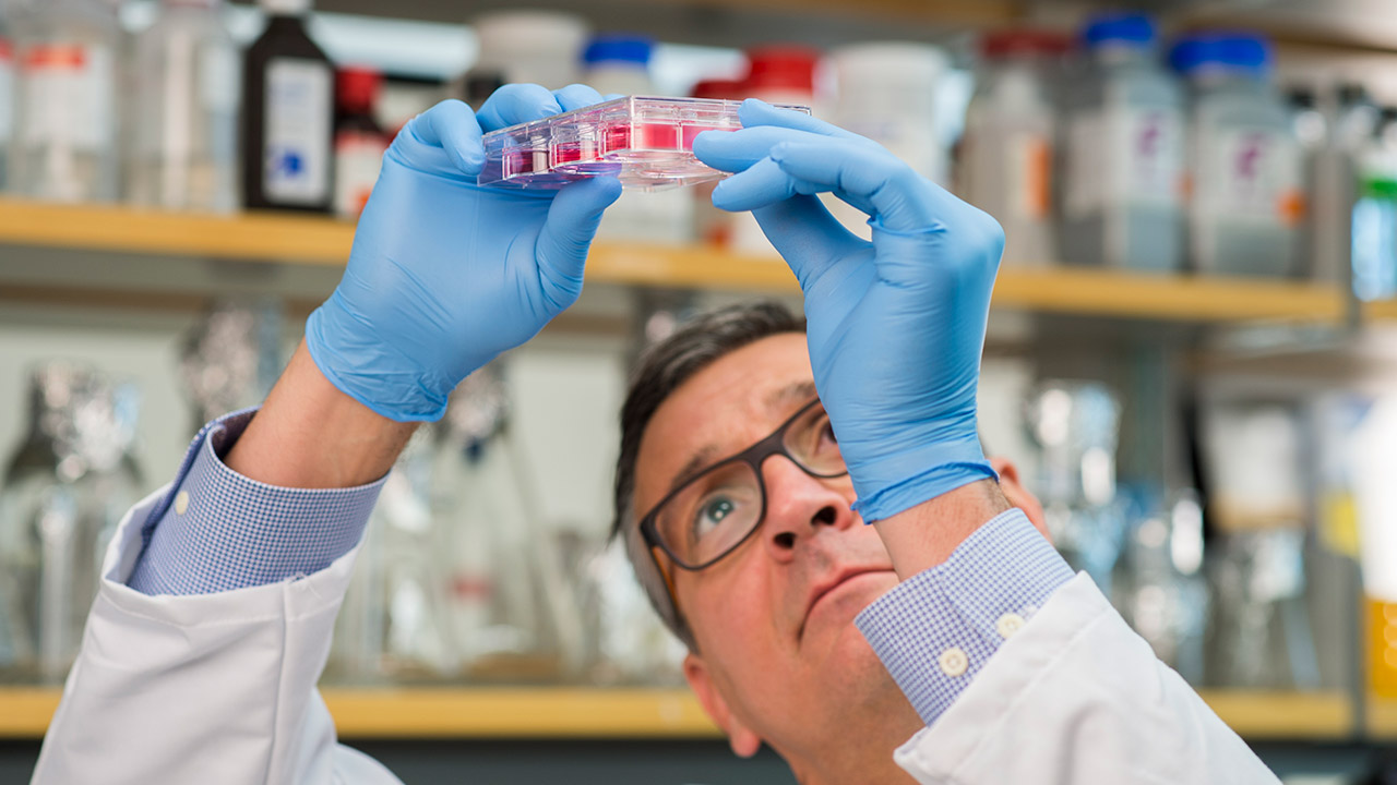 Dr. Verneris researchers groundbreaking discoveries in bone marrow transplant and cellular therapy.