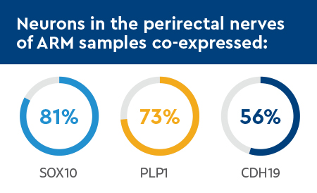 DHI Schwann cells graphics-2.jpg