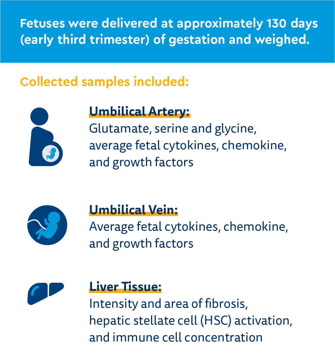 CFCC_Maternal Western Diet Exposure graphics-1.jpg