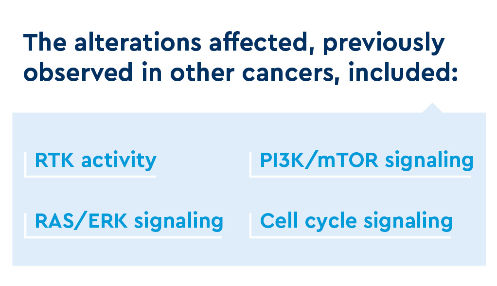CCBD_Deconvoluting Mechanisms graphics-03.jpg