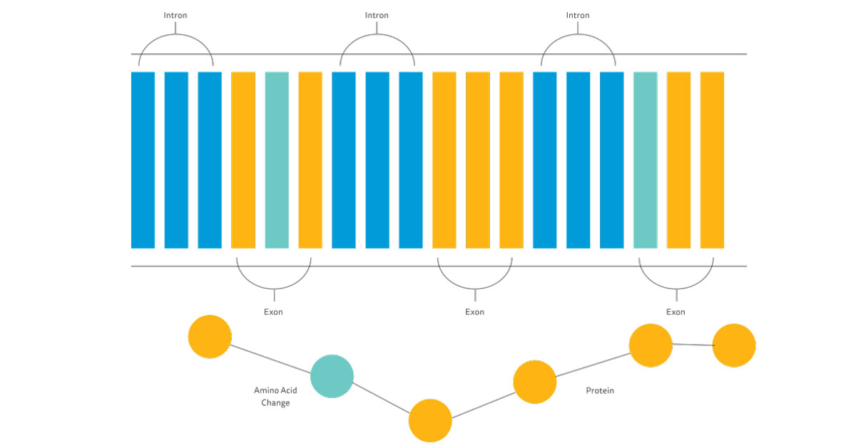 illustration of whole exome sequencing