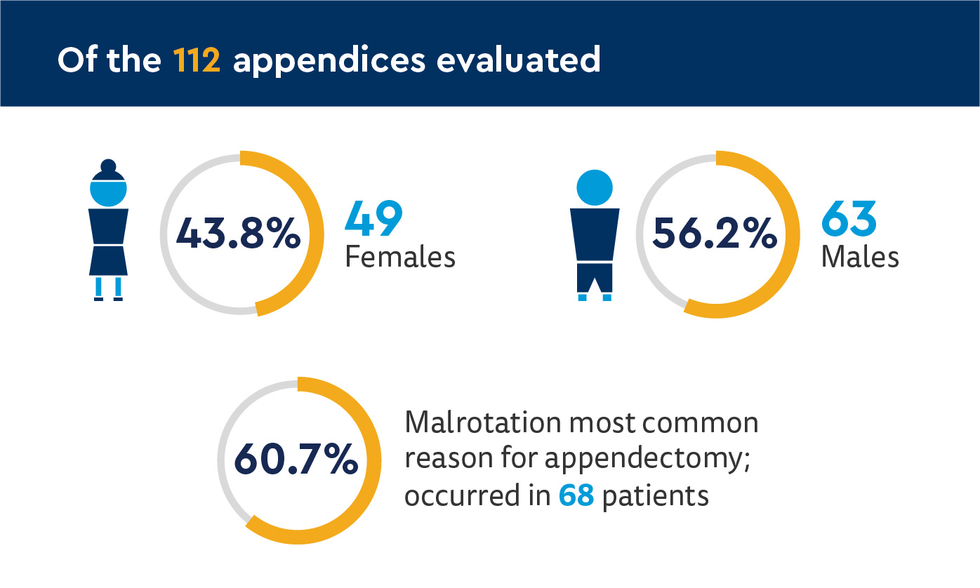 SURG_Is the appendix a good organ_graphics-2.jpg
